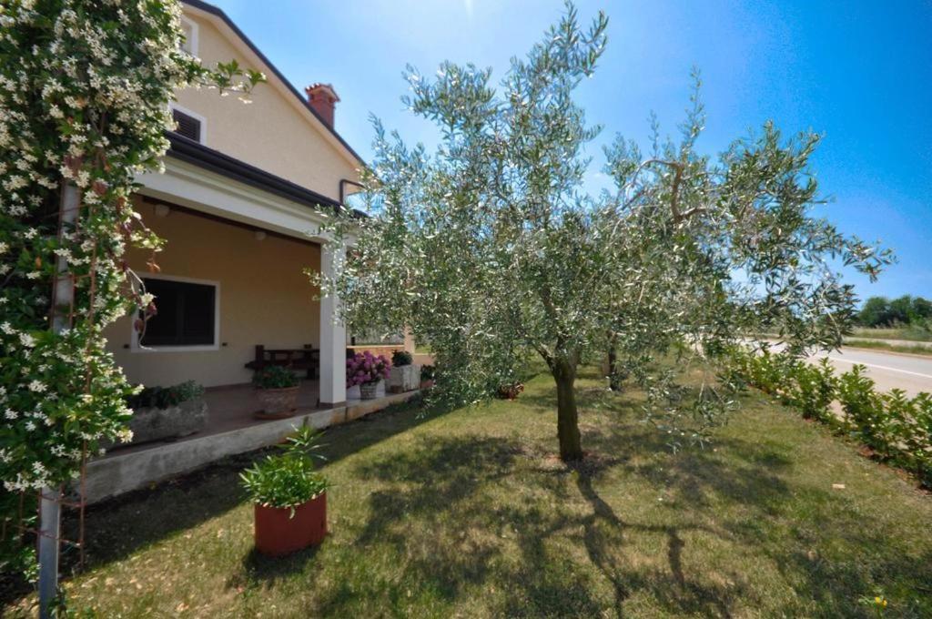 Ferienwohnung Angela Novigrad Istria Exterior foto